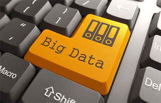 大數據應用在軟件開發中的局限與挑戰